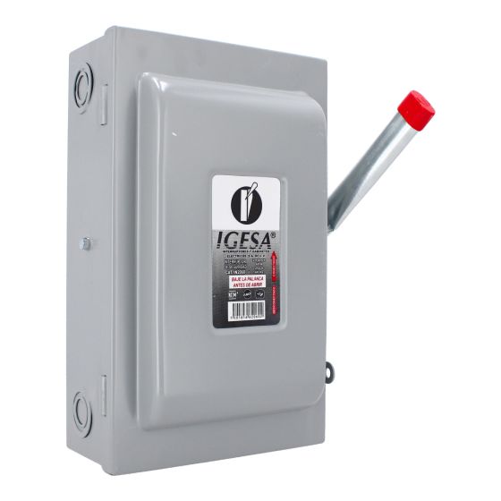 Interruptor de seguridad de 2 polos 60 Amp IN2060 IGESA