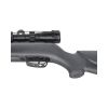 Rifle deportivo Gamo Big Cat 1000 5.5 mm