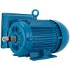 Motor NEMA bifásico 220 V 5 HP WEG
