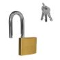 Candado de latón gancho largo 40 mm 6941 Dexter