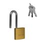 Candado de latón gancho largo 25 mm 6939 Dexter