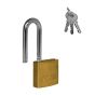 Candado de latón gancho largo 30 mm 6940 Dexter