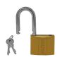 Candado de hierro gancho largo 60 mm 16919 Dexter