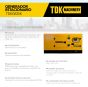 Generador estacionario TDKGE25K TDK MACHINERY