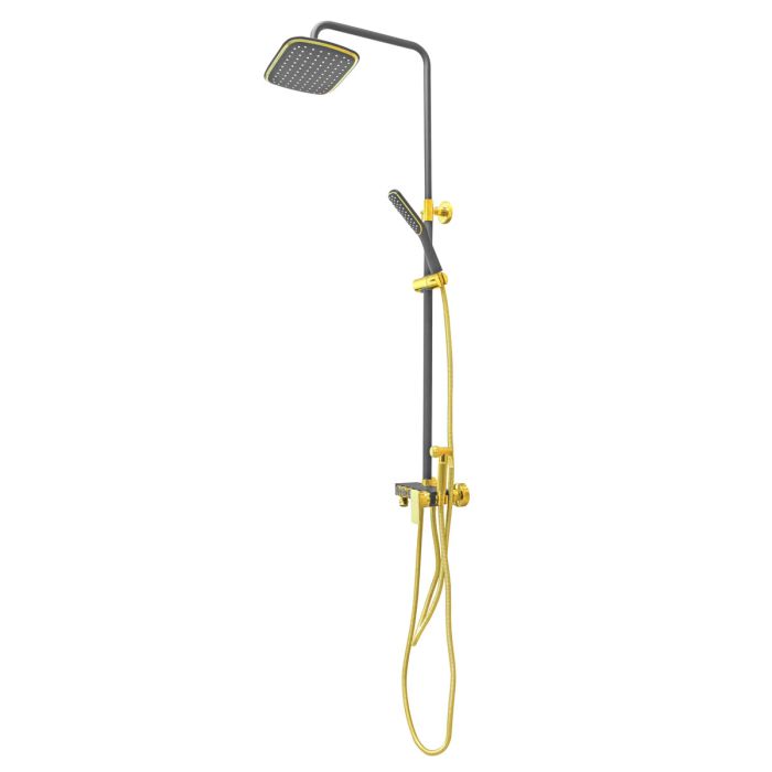 Regadera monomando negra / oro HT-90061 Hand Showers
